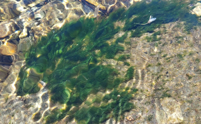 【渓流釣り初心者必見】増水・鉄砲水・浮石…知っておきたい危険ポイントと安全対策