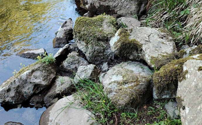 【渓流釣り初心者必見】増水・鉄砲水・浮石…知っておきたい危険ポイントと安全対策