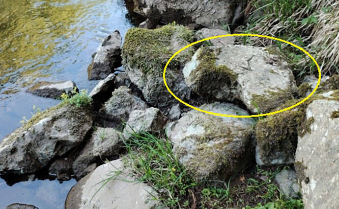 【渓流釣り初心者必見】増水・鉄砲水・浮石…知っておきたい危険ポイントと安全対策