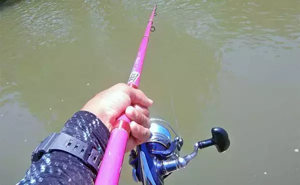 「【ソウギョ釣り攻略法7選】11釣行で連続本命キャッチできたワケとは？」の画像