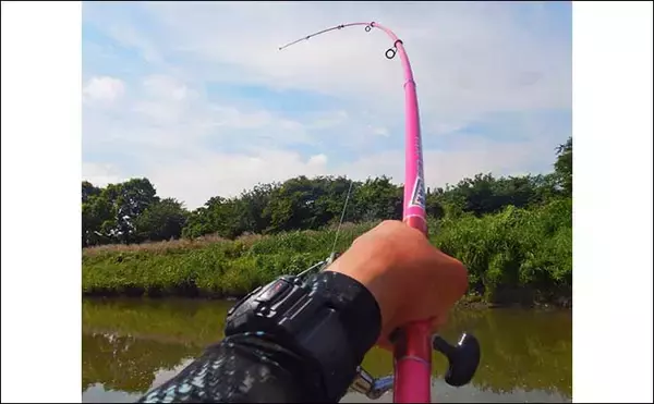 「【ソウギョ釣り攻略法7選】11釣行で連続本命キャッチできたワケとは？」の画像