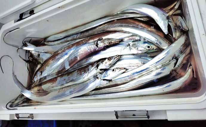 【沖釣り釣果速報】志摩〜鳥羽沖のウタセマダイ釣りで秋の風物詩シマアジ登場！（三重）