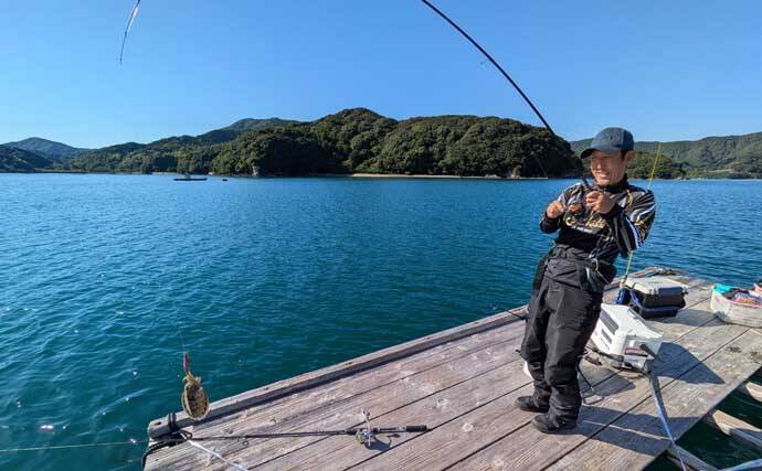 迫間浦のイカダ釣行でエギングと五目釣りを1日で満喫！【三重】アオリ8匹＆アジ25匹の好釣果