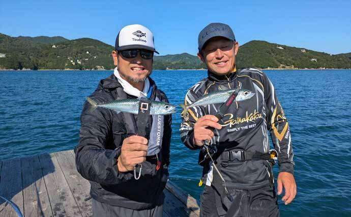 迫間浦のイカダ釣行でエギングと五目釣りを1日で満喫！【三重】アオリ8匹＆アジ25匹の好釣果