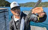 「迫間浦のイカダ釣行でエギングと五目釣りを1日で満喫！【三重】アオリ8匹＆アジ25匹の好釣果」の画像18