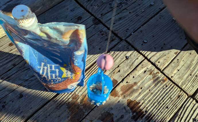 迫間浦のイカダ釣行でエギングと五目釣りを1日で満喫！【三重】アオリ8匹＆アジ25匹の好釣果