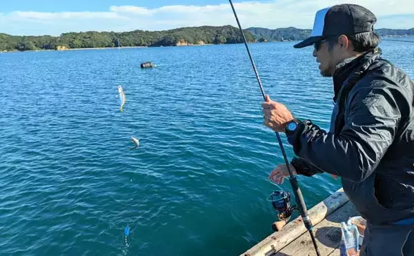 「迫間浦のイカダ釣行でエギングと五目釣りを1日で満喫！【三重】アオリ8匹＆アジ25匹の好釣果」の画像