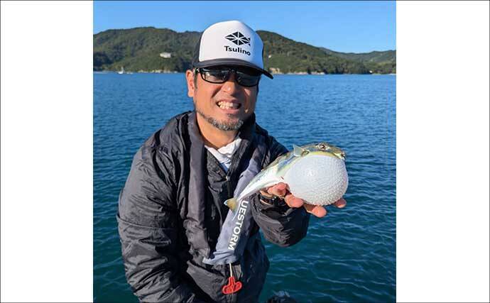 迫間浦のイカダ釣行でエギングと五目釣りを1日で満喫！【三重】アオリ8匹＆アジ25匹の好釣果