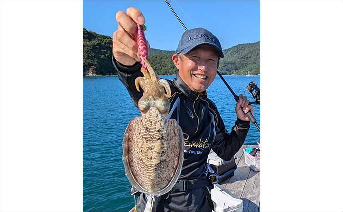 迫間浦のイカダ釣行でエギングと五目釣りを1日で満喫！【三重】アオリ8匹＆アジ25匹の好釣果