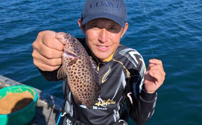 迫間浦のイカダ釣行でエギングと五目釣りを1日で満喫！【三重】アオリ8匹＆アジ25匹の好釣果