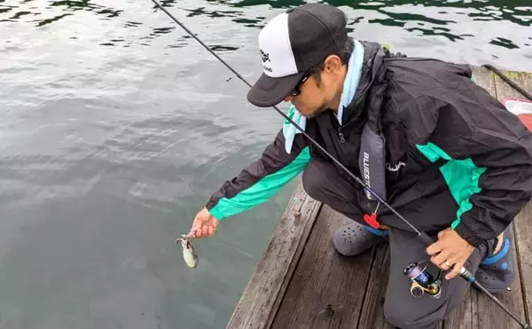 「迫間浦のイカダ釣行でエギングと五目釣りを1日で満喫！【三重】アオリ8匹＆アジ25匹の好釣果」の画像