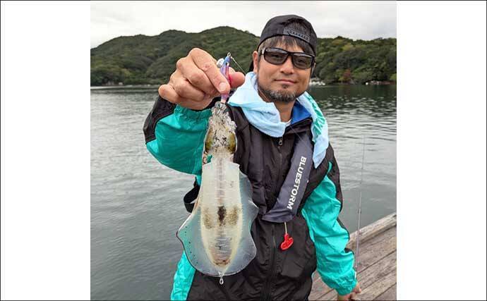 迫間浦のイカダ釣行でエギングと五目釣りを1日で満喫！【三重】アオリ8匹＆アジ25匹の好釣果
