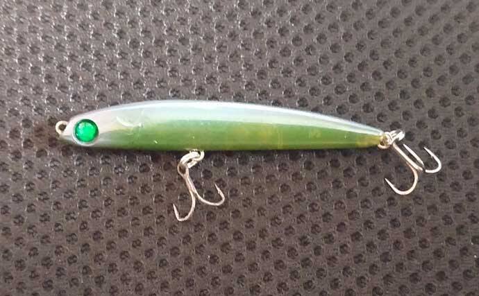 「ルアーは巻かないが正解！」水温と気温が急上昇した河川でシーバス3連発【養老川】