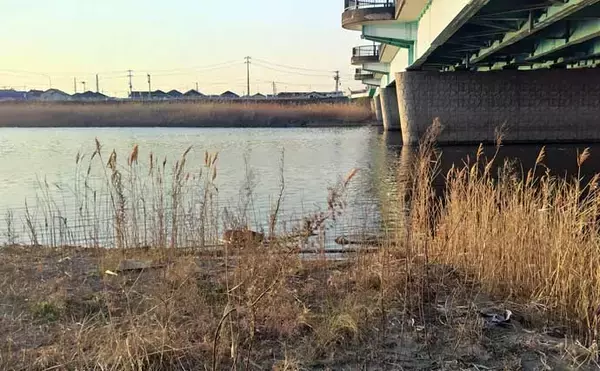 「「ルアーは巻かないが正解！」水温と気温が急上昇した河川でシーバス3連発【養老川】」の画像