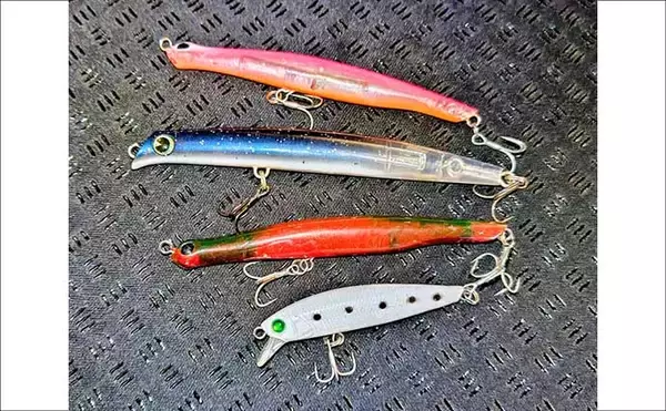 「「ルアーは巻かないが正解！」水温と気温が急上昇した河川でシーバス3連発【養老川】」の画像