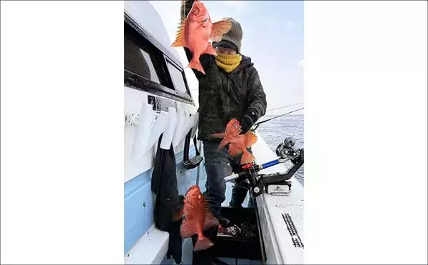 「【沖釣り釣果速報】根魚釣りでボッコ2.5kg好捕！チカメキントキ・レンコダイ交じりクーラー満タン（福岡）」の画像