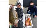 「【沖釣り釣果速報】根魚釣りでボッコ2.5kg好捕！チカメキントキ・レンコダイ交じりクーラー満タン（福岡）」の画像3