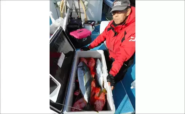 「【沖釣り釣果速報】根魚釣りでボッコ2.5kg好捕！チカメキントキ・レンコダイ交じりクーラー満タン（福岡）」の画像