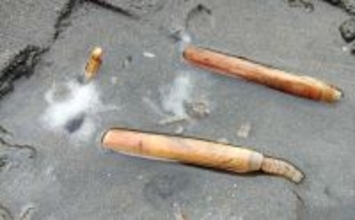 横浜での潮干狩りでマテ貝125本をゲット！【野島海岸】アサリは見つけられず