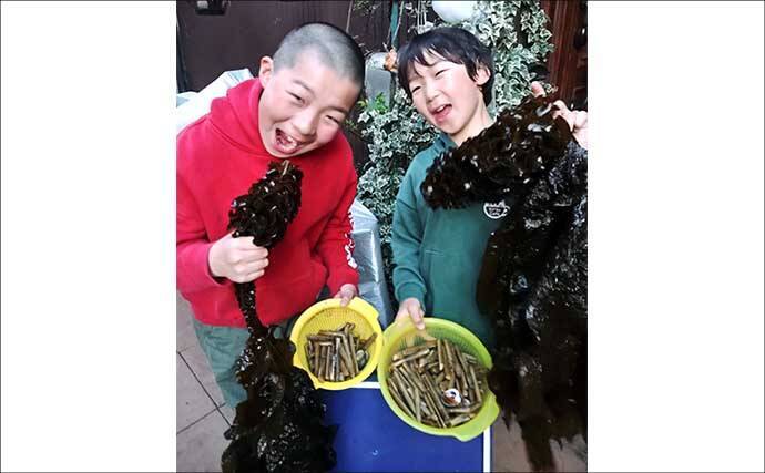 横浜での潮干狩りでマテ貝125本をゲット！【野島海岸】アサリは見つけられず