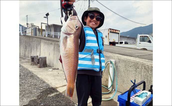 鳥羽沖で食べごろサイズのトラフグが好反応！【船のエサ釣り釣果速報6選・三重】