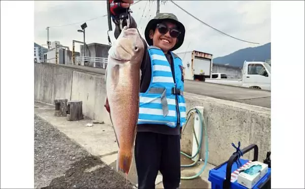 「鳥羽沖で食べごろサイズのトラフグが好反応！【船のエサ釣り釣果速報6選・三重】」の画像