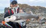 「磯でのルアー釣りで本命ヒラスズキと対面成功！【和歌山】ルアー止めたタイミングでヒット」の画像1