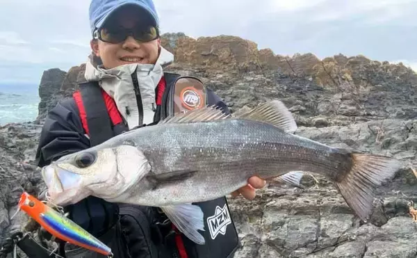 磯でのルアー釣りで本命ヒラスズキと対面成功！【和歌山】ルアー止めたタイミングでヒット