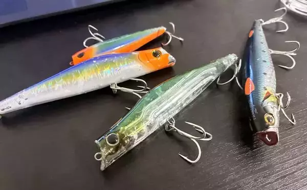 「磯でのルアー釣りで本命ヒラスズキと対面成功！【和歌山】ルアー止めたタイミングでヒット」の画像