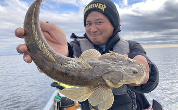 魚市場に並ぶ魚たちから釣りのヒントを得る　5～6月の伊勢湾の釣りもの事情
