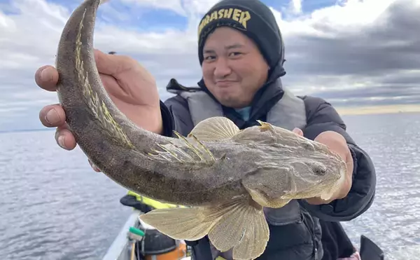 魚市場に並ぶ魚たちから釣りのヒントを得る　5～6月の伊勢湾の釣りもの事情