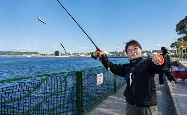 5月の「横須賀海辺つり公園」釣行レポート：サビキ釣りでカタクチイワシが爆釣！