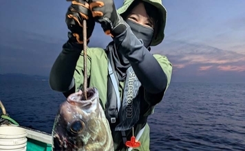 水深300mから20mまで那智勝浦で釣り三昧！　中深海から尾長グレまで多彩魚が続々