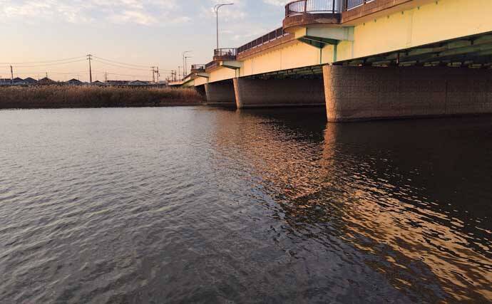 真冬のルアーシーバス釣行で50cm級が連発【千葉・養老川】バチ抜けを発見！