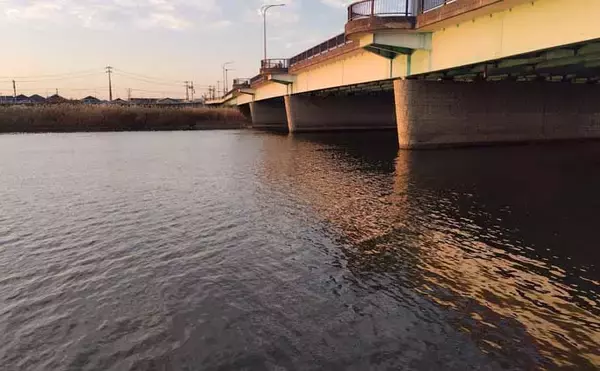 「真冬のルアーシーバス釣行で50cm級が連発【千葉・養老川】バチ抜けを発見！」の画像