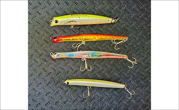 真冬のルアーシーバス釣行で50cm級が連発【千葉・養老川】バチ抜けを発見！