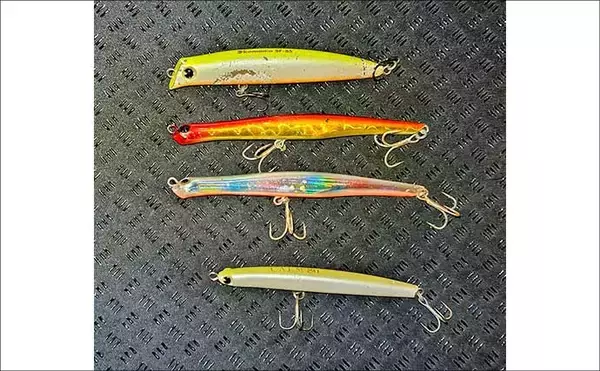 「真冬のルアーシーバス釣行で50cm級が連発【千葉・養老川】バチ抜けを発見！」の画像