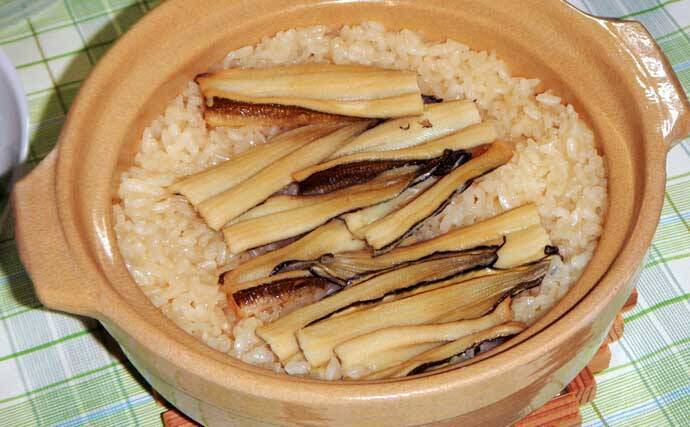 アナゴ狙いの投げ釣りで30cm超頭に13匹キャッチ【三重・四日市港】みりん干し＆煮アナゴが絶品