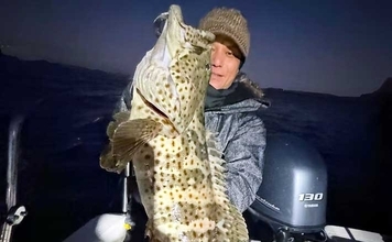 【沖のルアー釣果速報】チヌジギで珍ゲスト50cm超チャイロマルハタ登場！本命チヌも5匹手中（愛知）