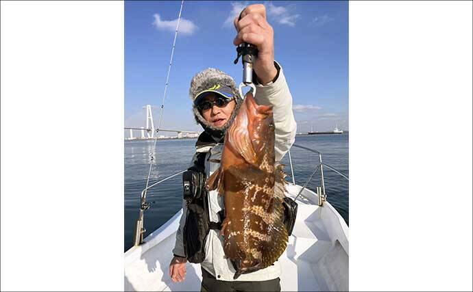 【沖のルアー釣果速報】チヌジギで珍ゲスト50cm超チャイロマルハタ登場！本命チヌも5匹手中（愛知）