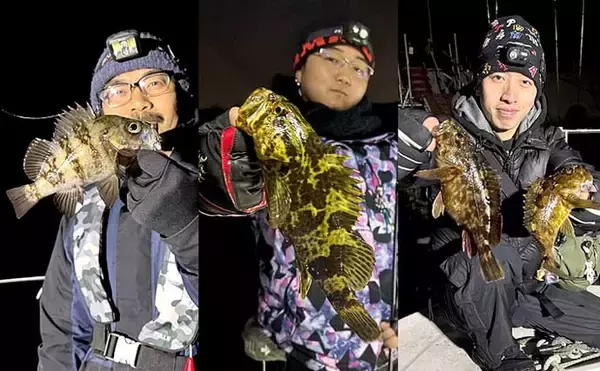 「【沖のルアー釣果速報】チヌジギで珍ゲスト50cm超チャイロマルハタ登場！本命チヌも5匹手中（愛知）」の画像