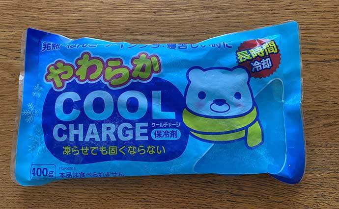 遠征釣行慣れした釣り師が解説　【車中泊で快適な睡眠をとる裏技4選】
