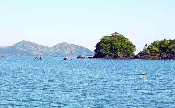 「イカダでのダンゴ釣りで45cm頭にクロダイ好捕【福井・奥城丸渡船】上潮緩むと好機到来」の画像