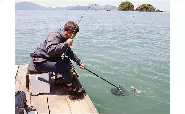 「イカダでのダンゴ釣りで45cm頭にクロダイ好捕【福井・奥城丸渡船】上潮緩むと好機到来」の画像