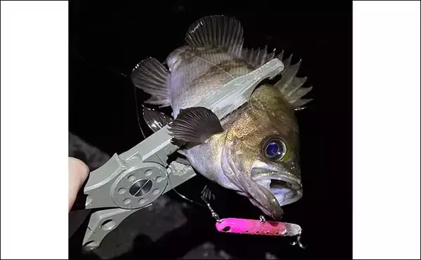 「1万円あったら買っておきたい【メバリング実力アップにつながるルアーたち】」の画像