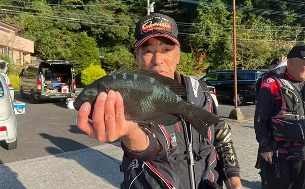 「磯フカセ釣りで48cmクロ（メジナ）が浮上！【大分】好ゲストにシマアジも登場」の画像