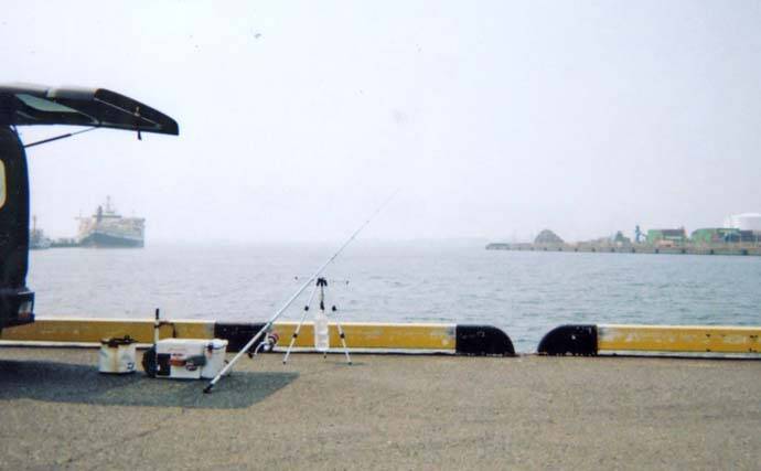 「父の形見のタックルで清水港へ」投げ釣りで出会った20cmシロギスに感動【静岡】