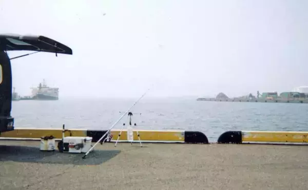 「「父の形見のタックルで清水港へ」投げ釣りで出会った20cmシロギスに感動【静岡】」の画像