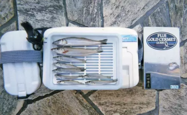 「「父の形見のタックルで清水港へ」投げ釣りで出会った20cmシロギスに感動【静岡】」の画像