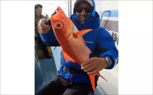 「中深海ジギングで本命のキンメダイ6匹キャッチ！【静岡・下田沖】船中全員安打達成」の画像